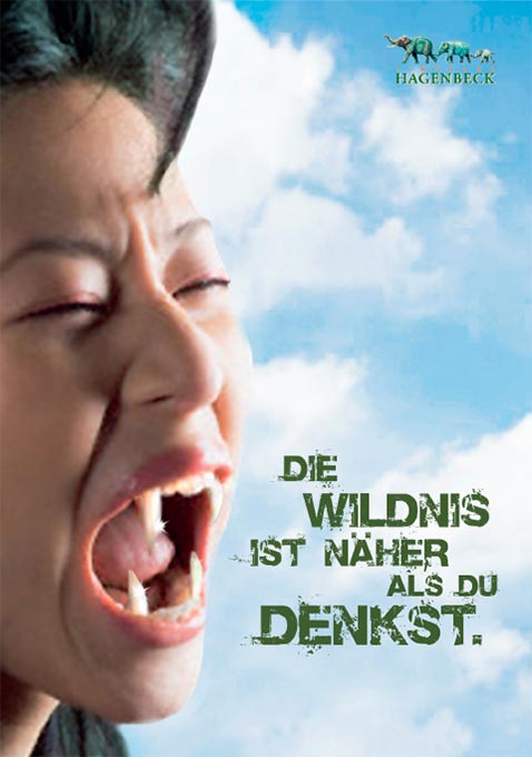 Plakat Text Konzept für Tierpark Hagenbeck_01
